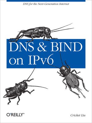 cover image of DNS and BIND on IPv6